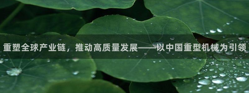 龙八国际网q18点tv