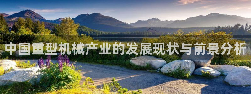 龙八国际城网址