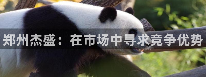 龙八国际棋牌官方网站