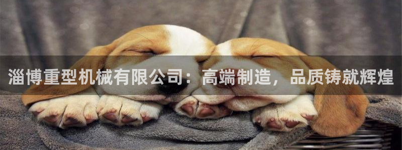 龙八国际手机app