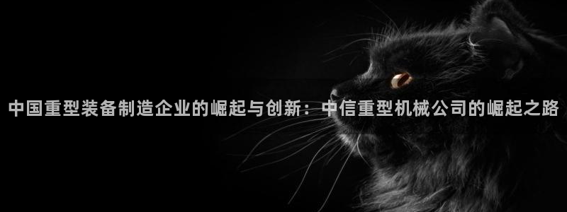 龙八国际可b48点tv