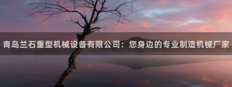 正规龙八国际娱乐