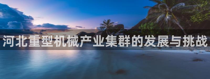 龙八国际娱乐pt