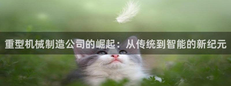 龙八国际网易云音乐