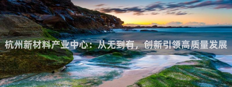 龙八国际电脑版下载