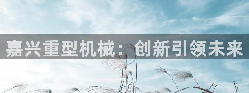 龙八国际游戏视频