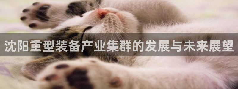 龙八国际官网苹果