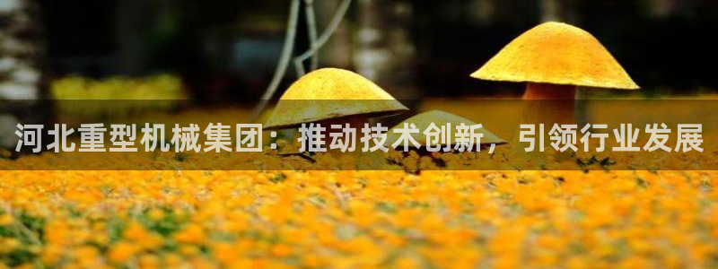 龙八国际app手机版下载安卓