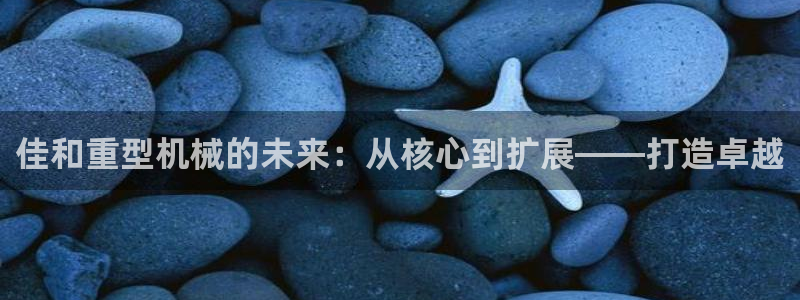 龙八国际网站多少