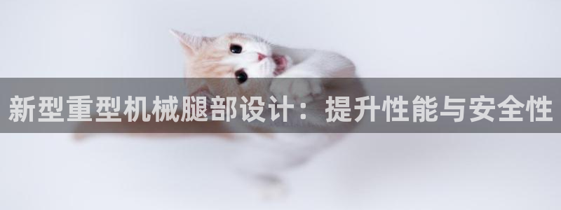 龙八国际黑吗
