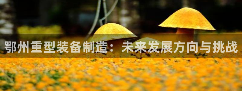 龙八国际官首页