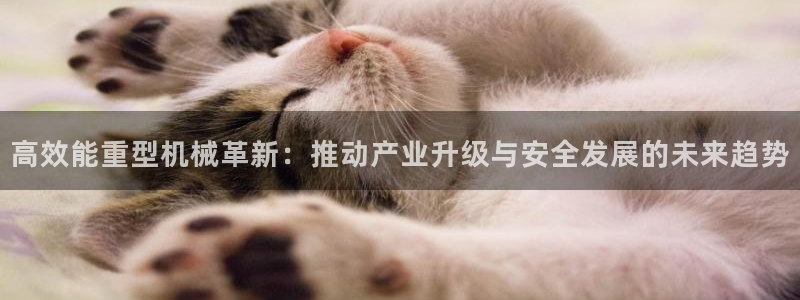 龙八国际软件下载