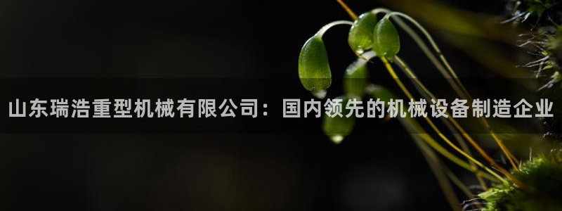 龙八国际集团有限公司