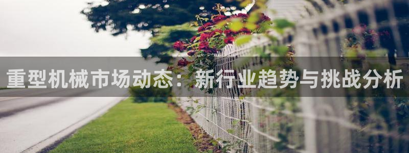 龙八国际娱乐网址