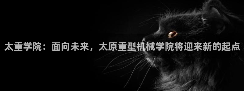 龙八国际可以京东充值吗