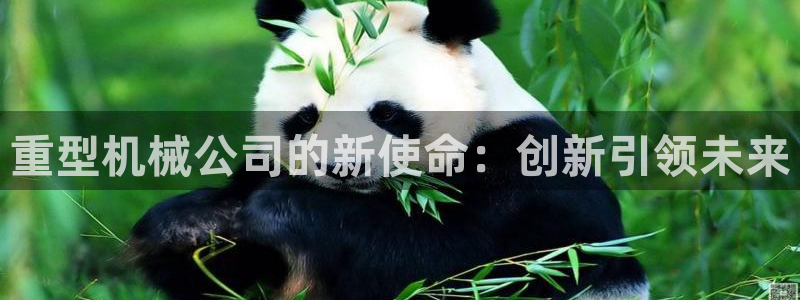 龙八国际现金