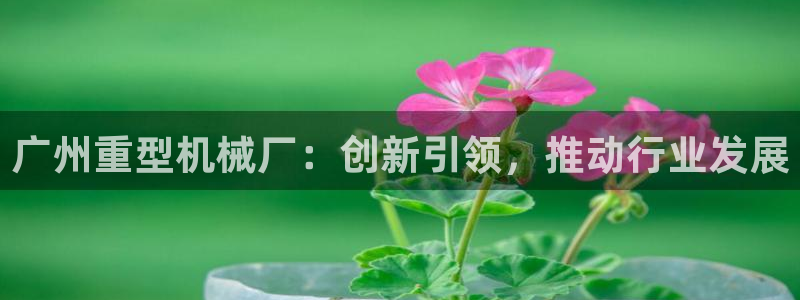 龙八国际官方网站手机版