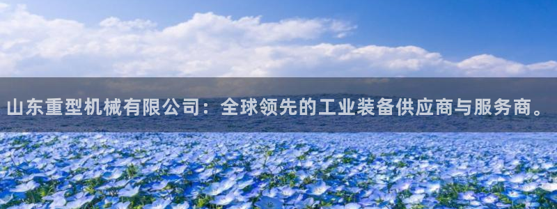 龙八国际 我的