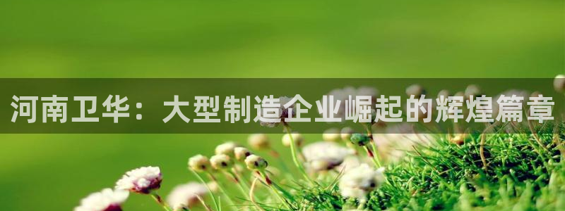 龙八国际可b48点tv