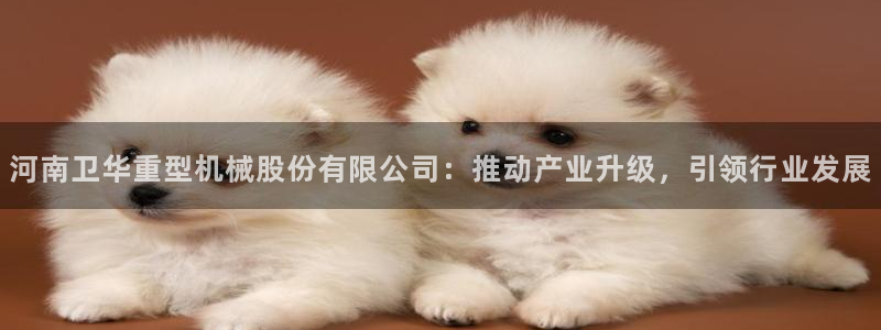龙八国际官网网站