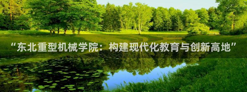 龙八国际