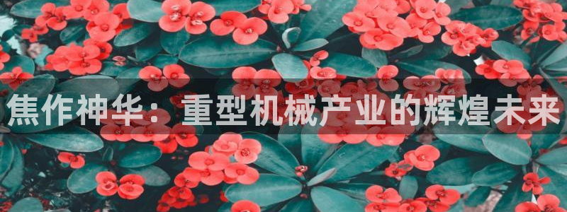 龙八国际改名