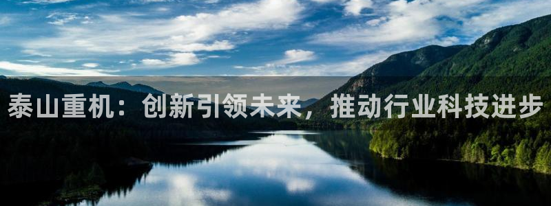 龙八国际手机版下载安装app